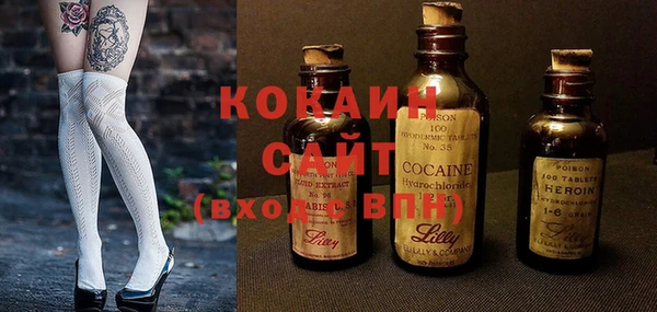 шишки Балахна