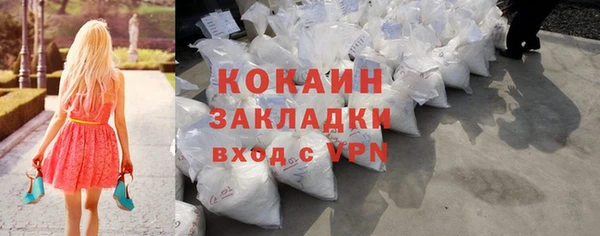 шишки Балахна